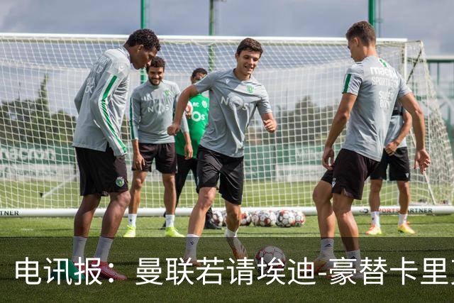 电讯报：曼联若请埃迪-豪替卡里克，需向纽卡支付最多600万镑
